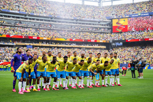 Players of Brazil