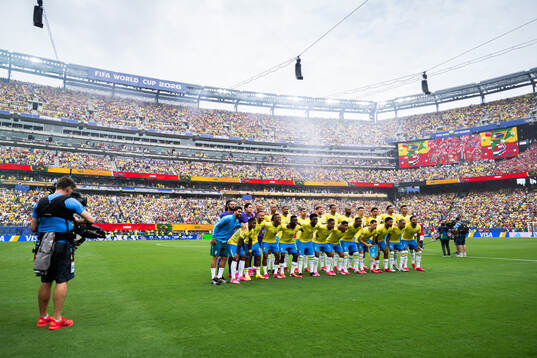 Players of Brazil
