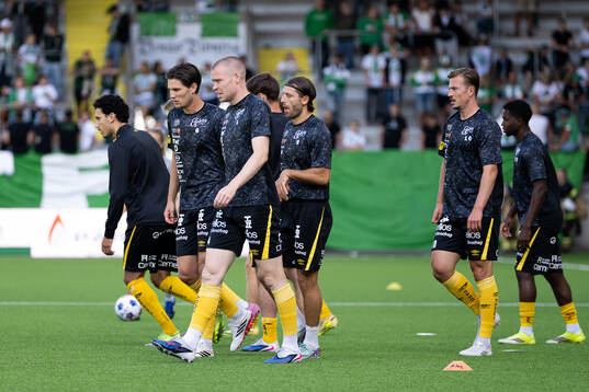 Elfsborgs spelare