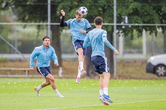 Malmö FFs Diego Garcia