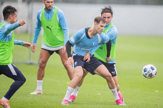 Malmö FFs Diego Garcia