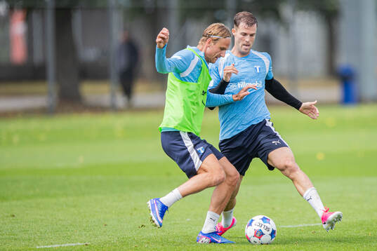Malmö FFs Erik Botheim och Diego Garcia