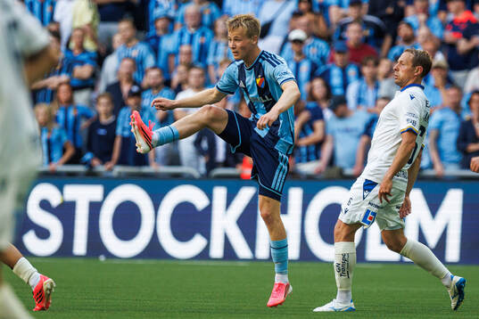 Djurgårdens Bo Hegland