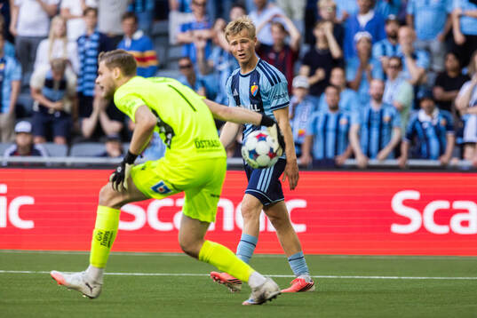 Djurgårdens Bo Hegland