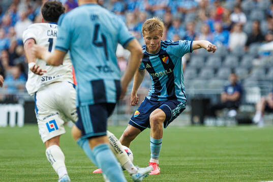 Djurgårdens Bo Hegland