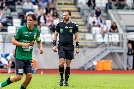 Domare Max Persson