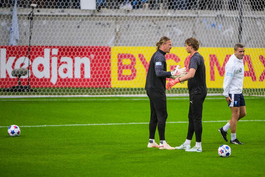 Malmö FFs målvakt Johan Dahlin