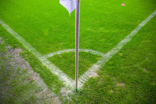 Gräset på Guldfågeln Arena