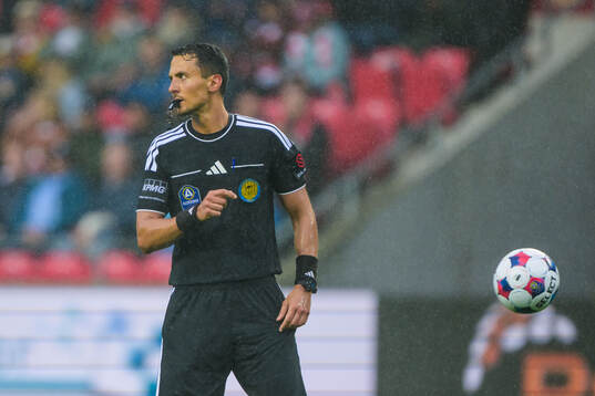 Domare Adi Aganovic