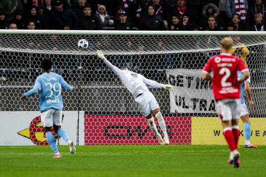 Malmö FFs målvakt Johan Dahlin