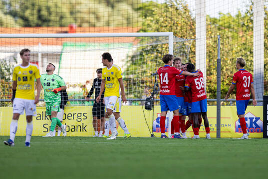 Helsingborgs spelare jublar