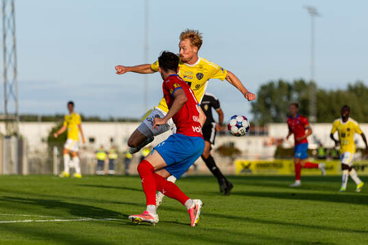 Falkenbergs Linus Borgström