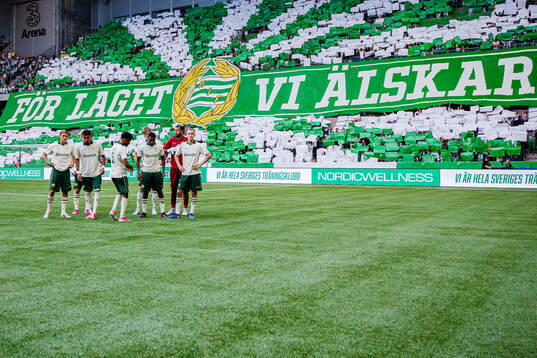 Players of Hammarby