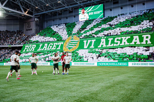 Players of Hammarby
