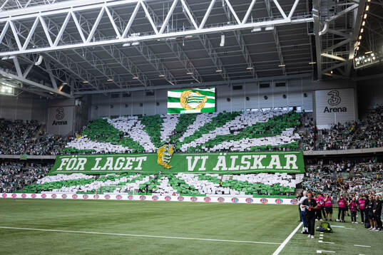 Hammarby supporters with tifo