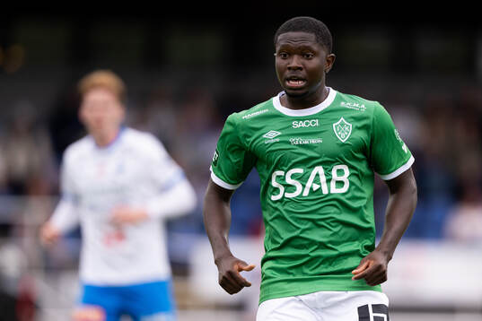 Brages Ozor Victor Okeke