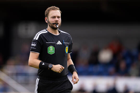 Domare Max Persson