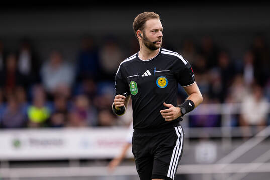 Domare Max Persson