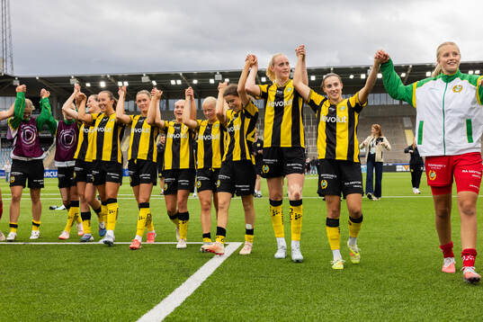 Hammarbys spelar jublar