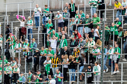 Hammarbys supportrar