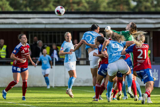 Vittsjös målvakt Elin Vaughan