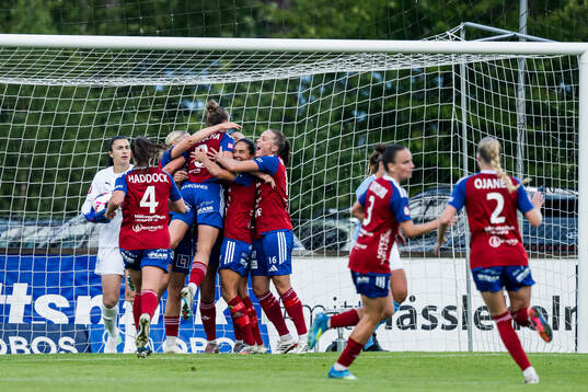 Vittsjös spelare jublar