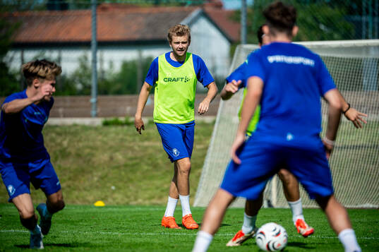 Niclas Bergmark
