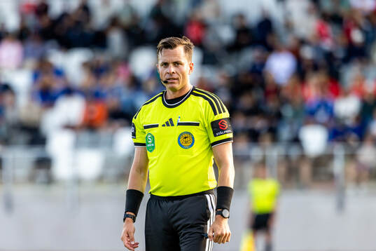 Domare Niclas Karlsson