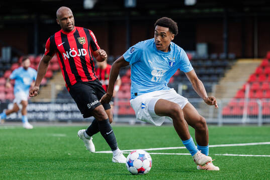 Malmö FFs Theodor Lundbergh