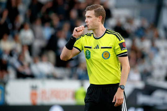 Domare Erik Mattsson