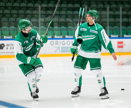 Leon Bristedt och Daniel Zaar