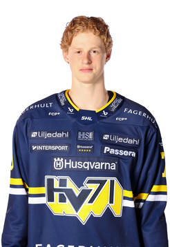Bläddra bland fler bilder av Ishockey, SHL, Porträtt och Lagbild, HV71