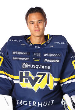 HV71s målvakt Herman Liv