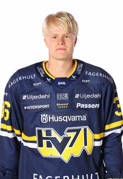 HV71s Martin Johnsen