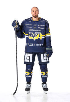 HV71s Lukas Rousek