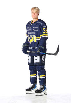 HV71s Martin Johnsen