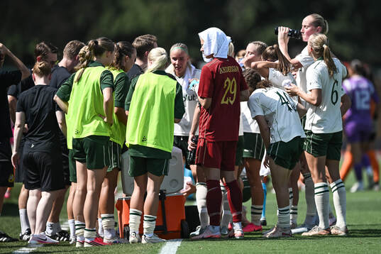 Players of Hammarby