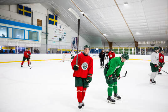 Bläddra bland fler bilder av Ishockey, SHL, Frölunda, Träning 