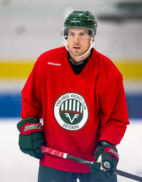 Henrik Tömmernes