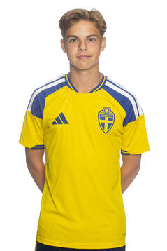 Bläddra bland fler bilder av Fotboll, P15/11, Sverige, Porträtt