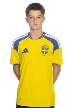Anton Jarnedal