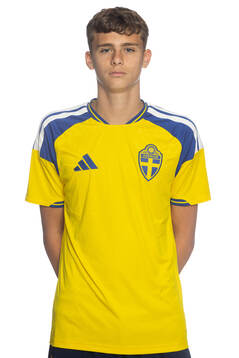 Noel Engelin