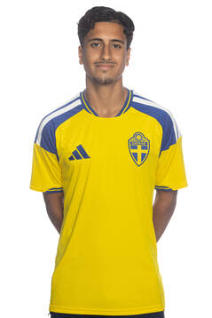 Ali Alsaaid