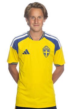 Ossian Rinaldo