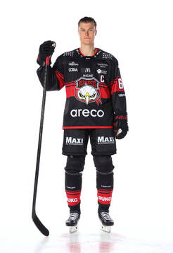 Malmö Redhawks Fredrik Händemark