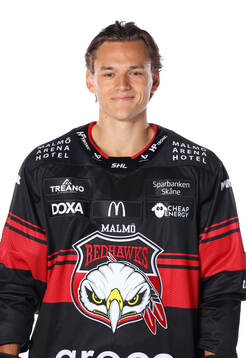 Malmö Redhawks Martin Schreiber