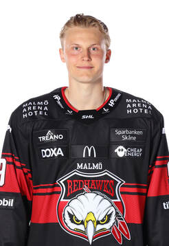 Malmö Redhawks Hugo Pettersson
