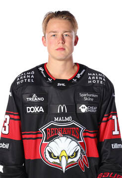 Malmö Redhawks Petter Vesterheim