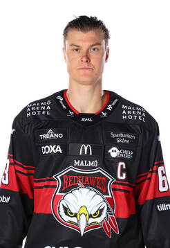 Malmö Redhawks Fredrik Händemark
