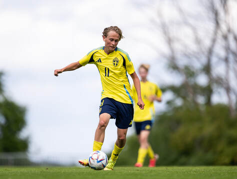 Sveriges Milton Standar